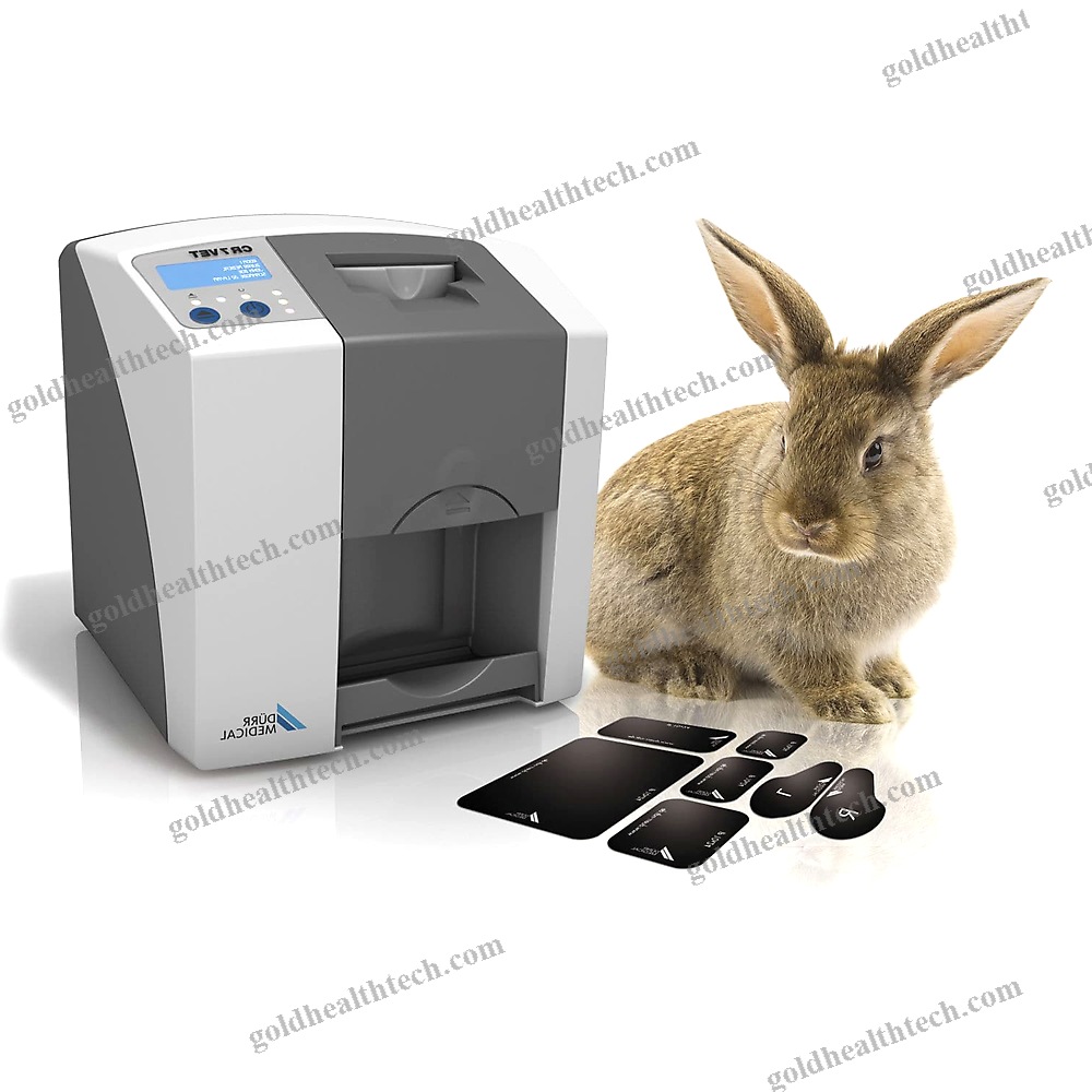 Dental Cr Scanner