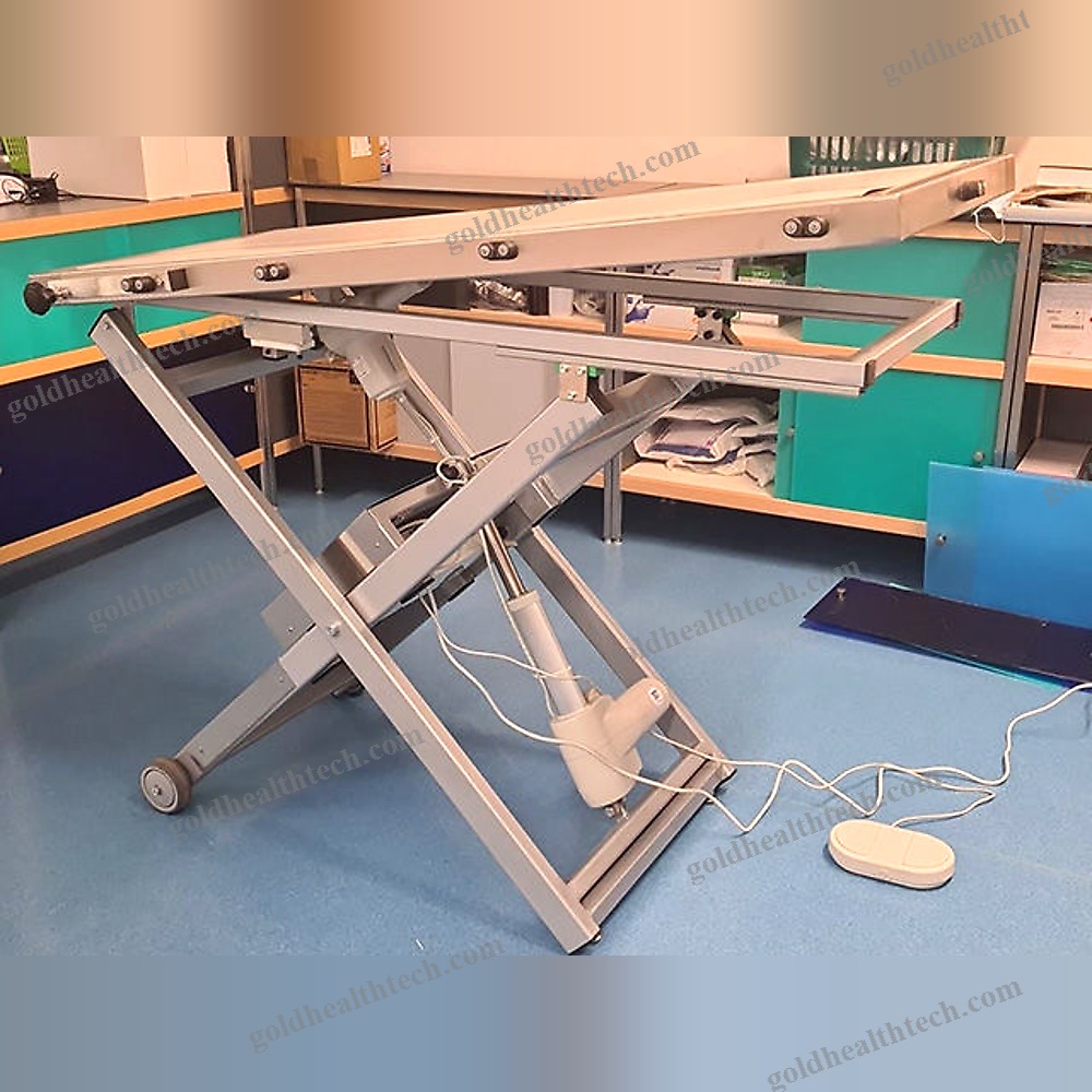 Veterinary Examination Table