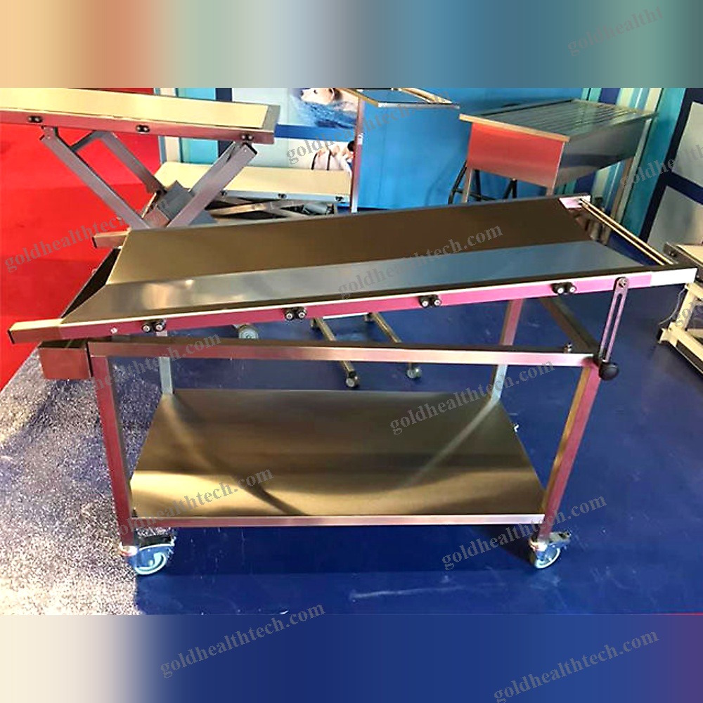 Veterinary Examination Table