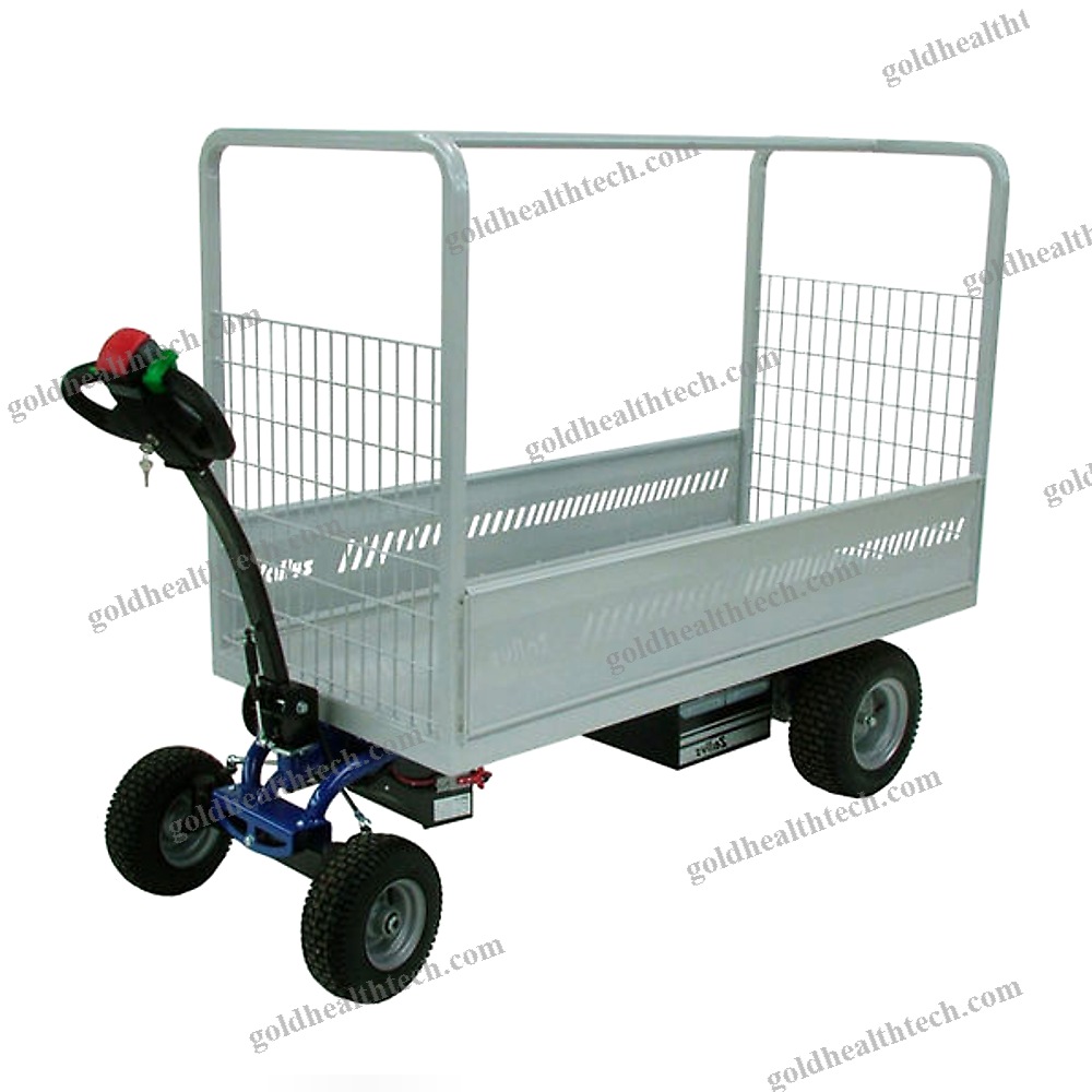 Electric Mover
