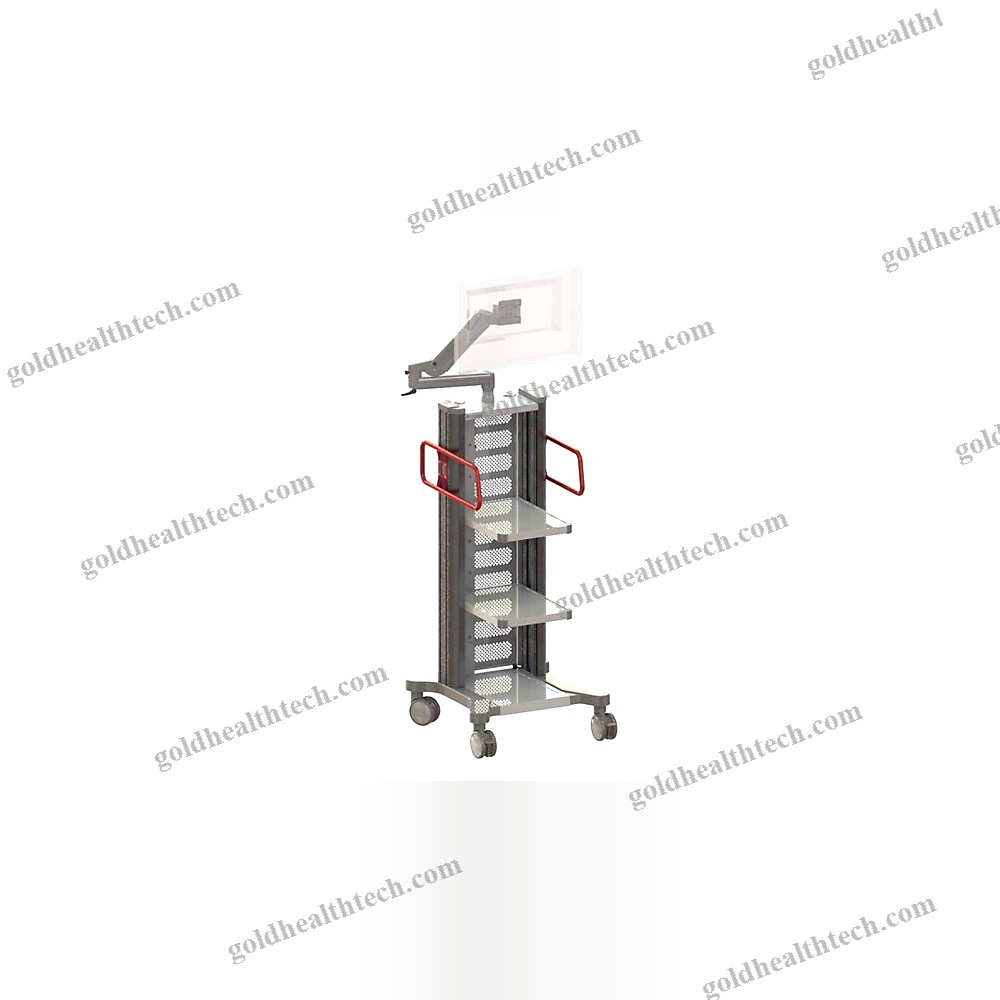 Endoscopy Column