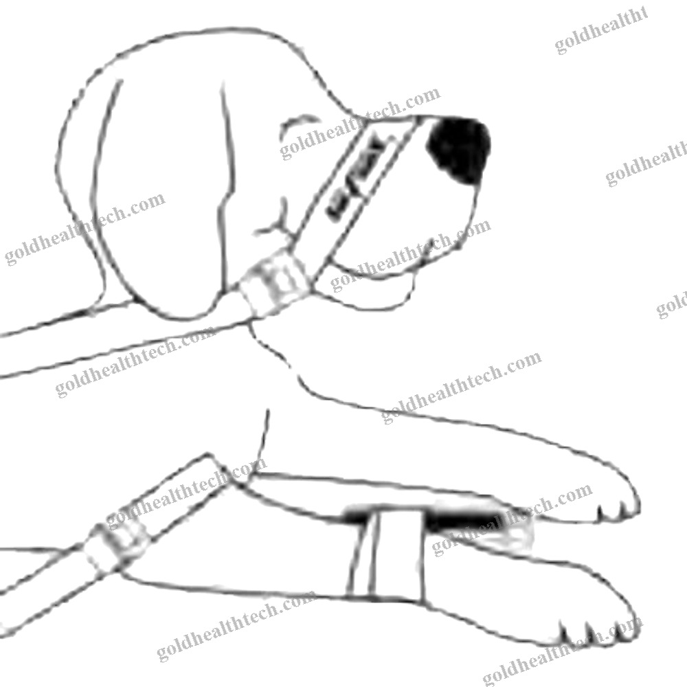 Veterinary Tourniquet