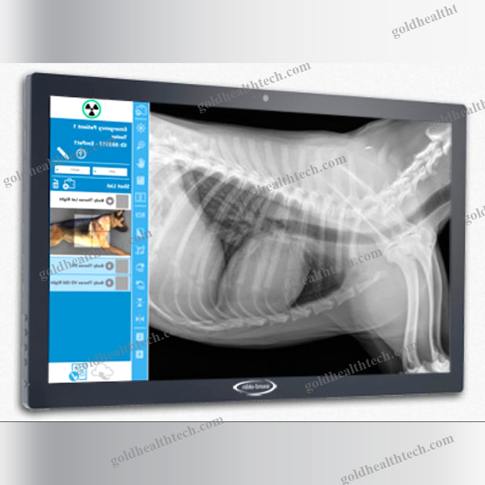 Veterinary Radiology Software