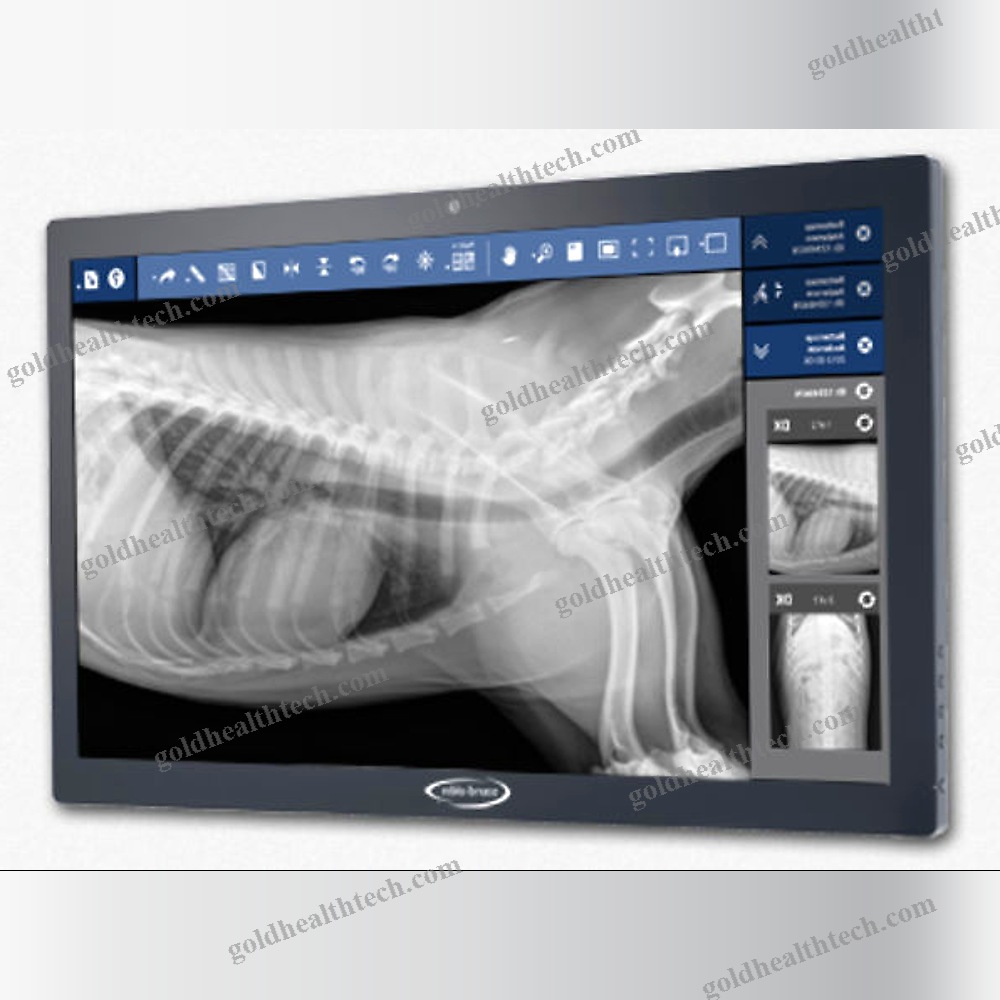 Veterinary Radiology Software
