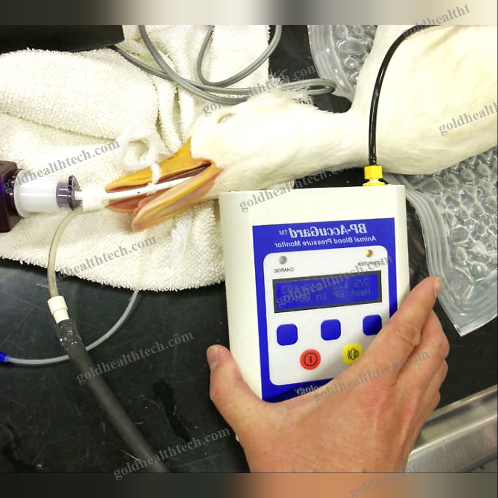 Automatic Blood Pressure Monitor