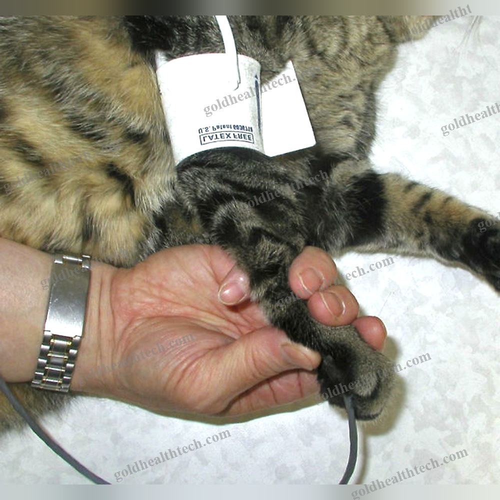 Pocket Veterinary Doppler