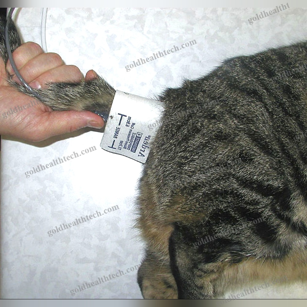 Pocket Veterinary Doppler