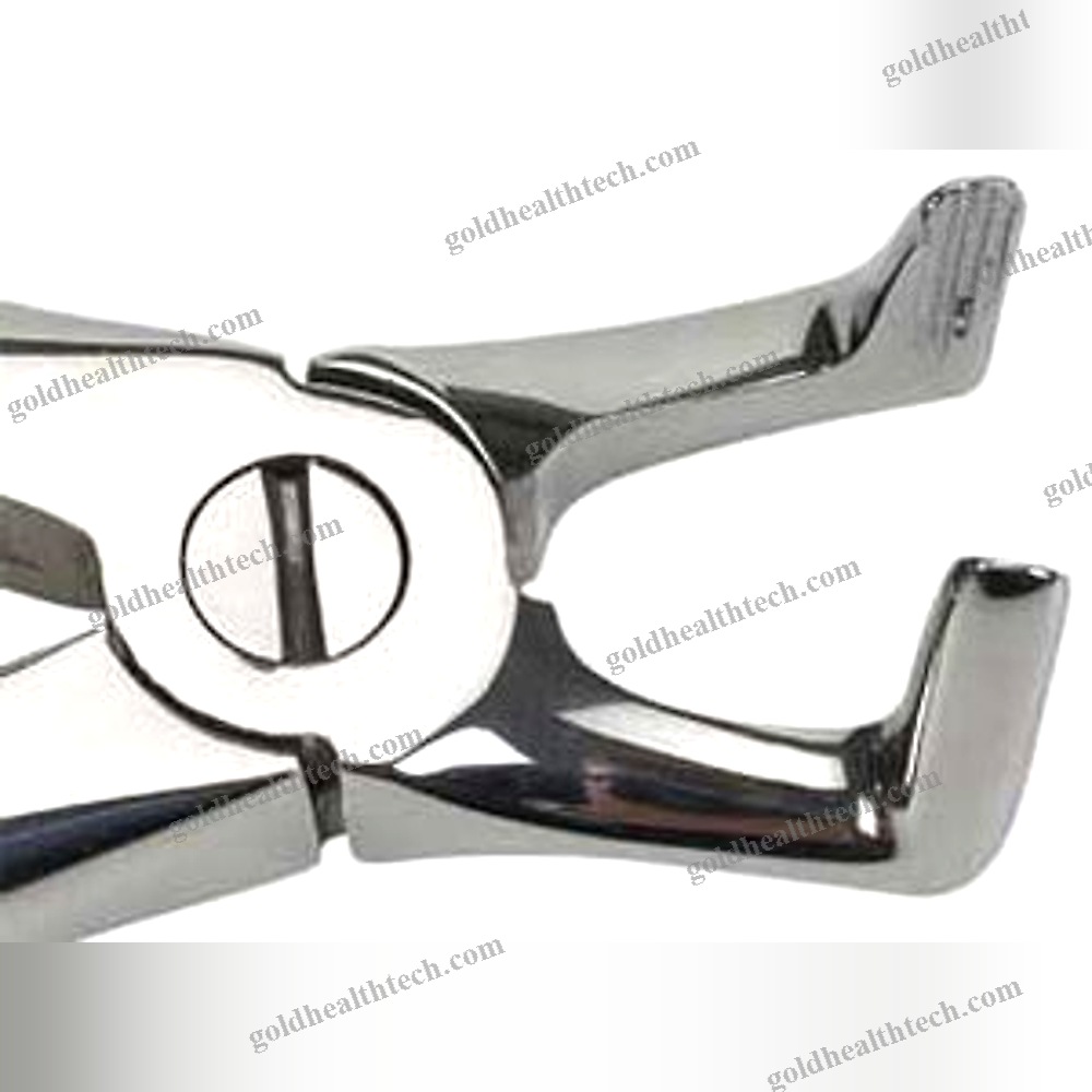 Feline Dental Extraction Forceps