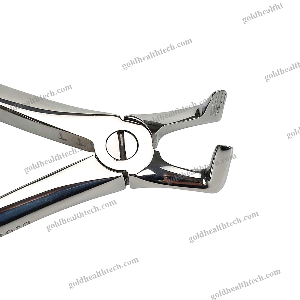 Feline Dental Extraction Forceps