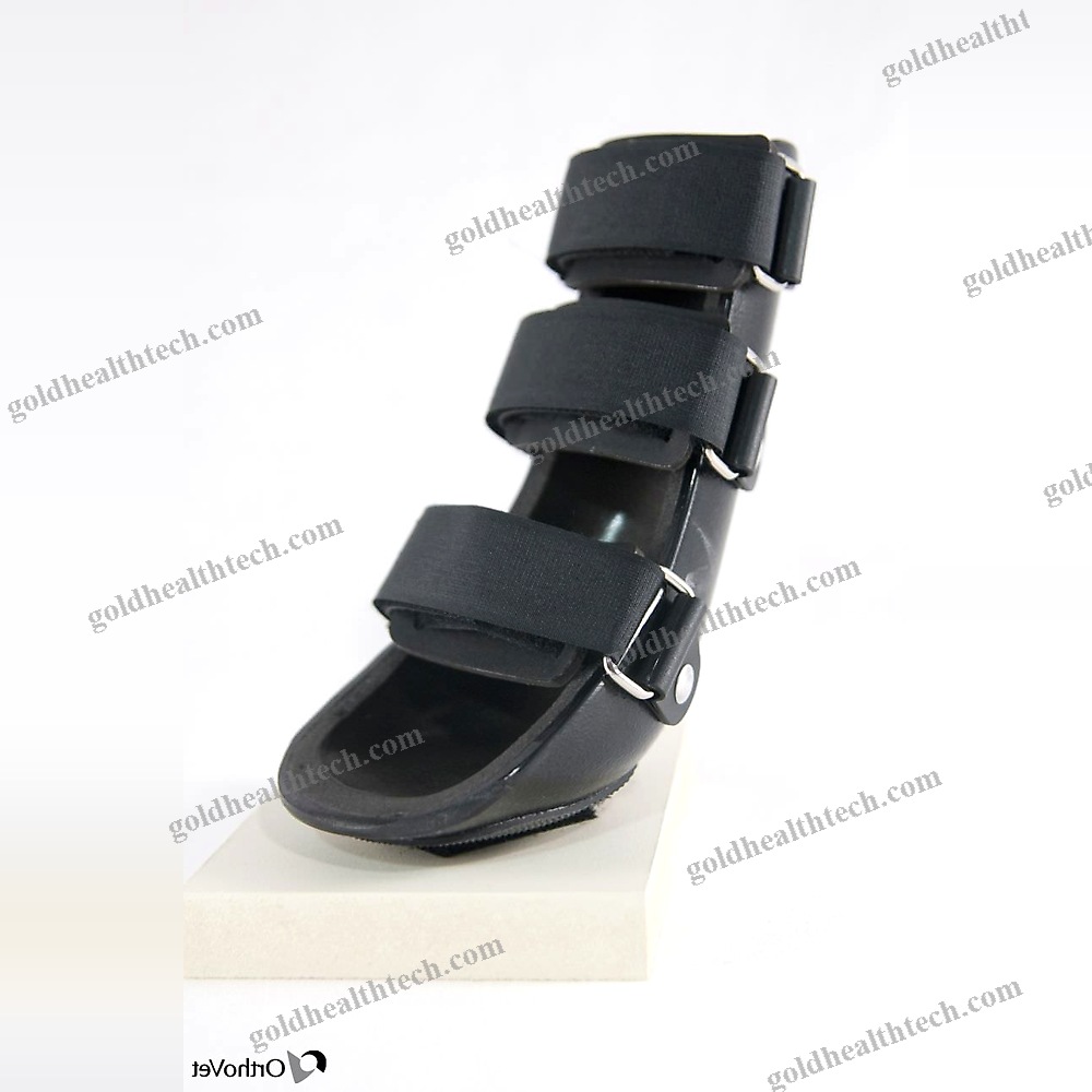 Paw Veterinary Splint