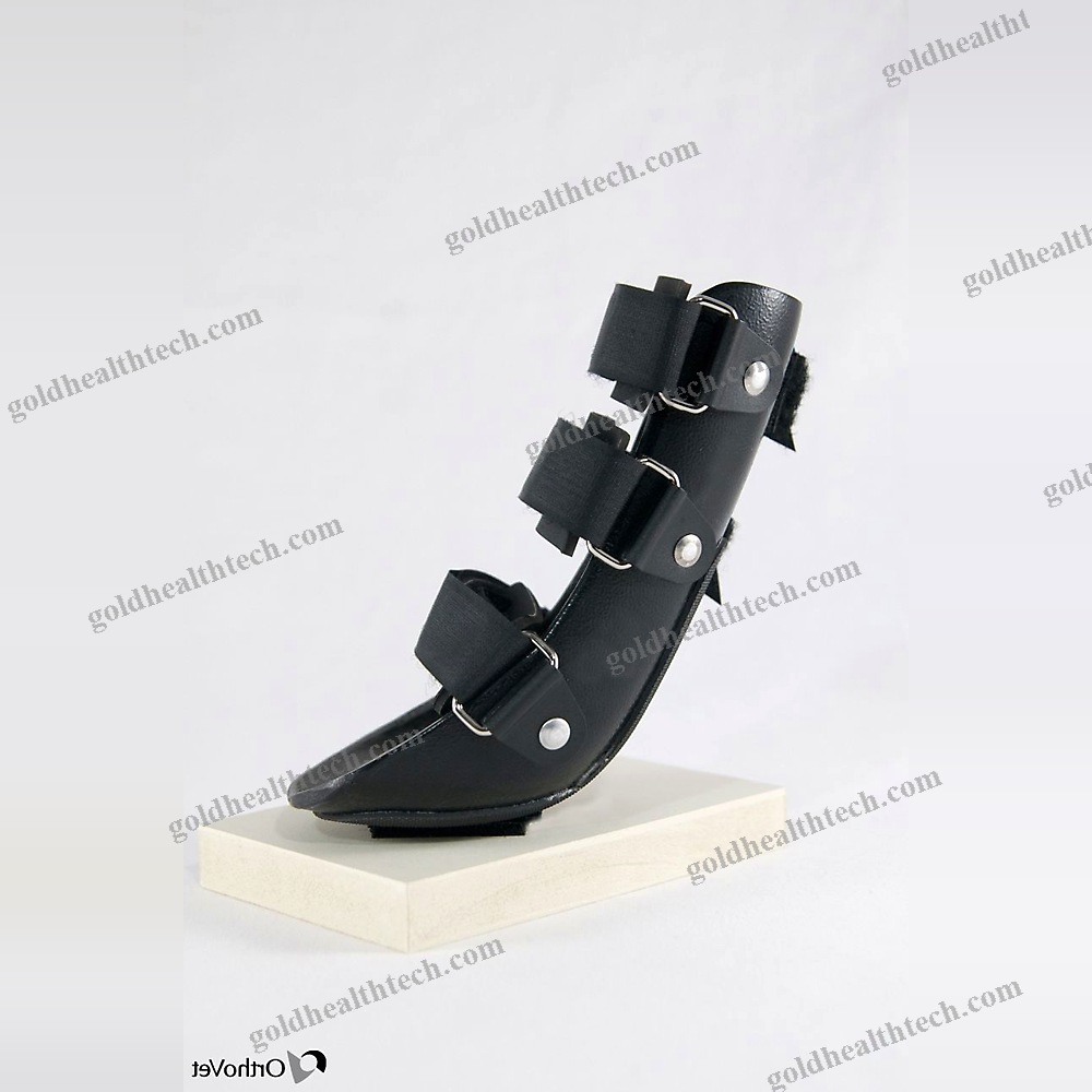 Paw Veterinary Splint