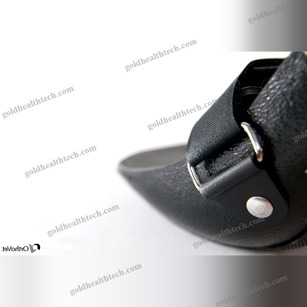 Paw Veterinary Splint