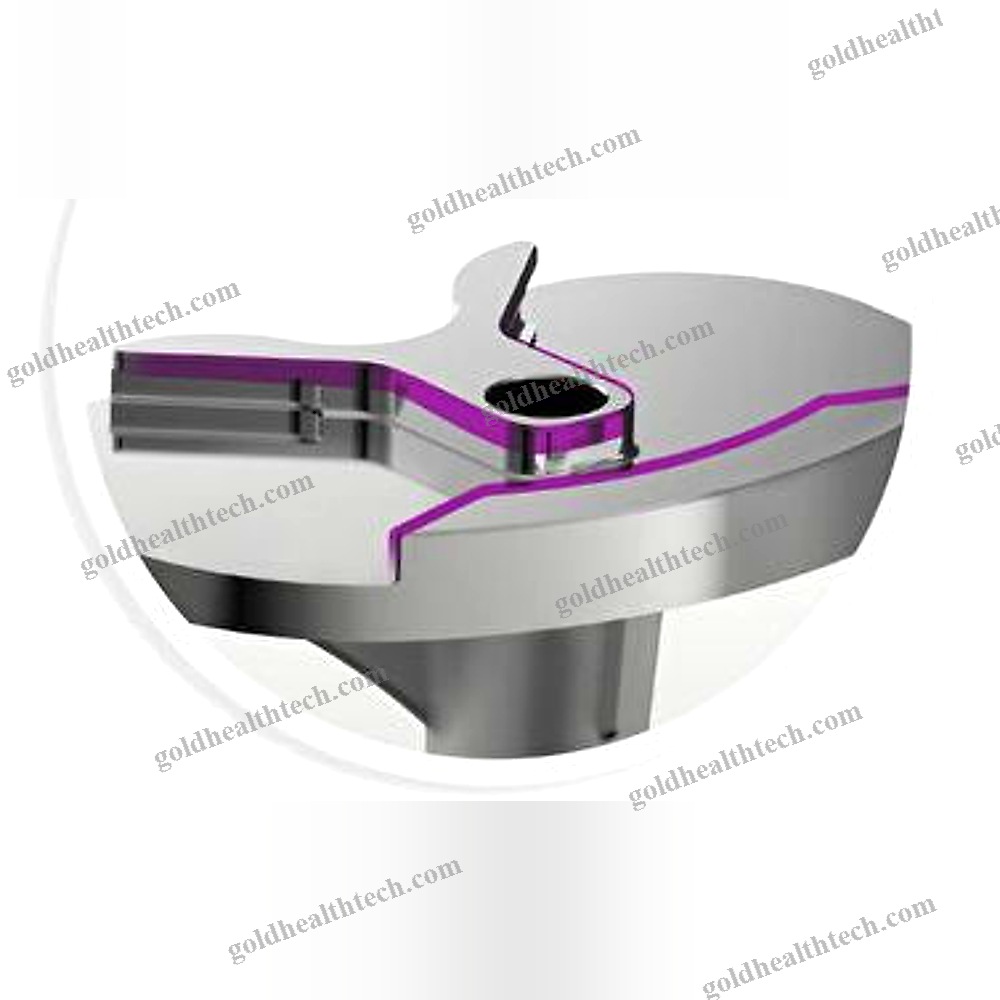 Total Knee Prosthesis