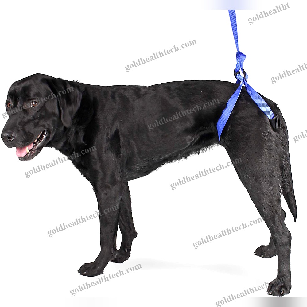 Walking Sling