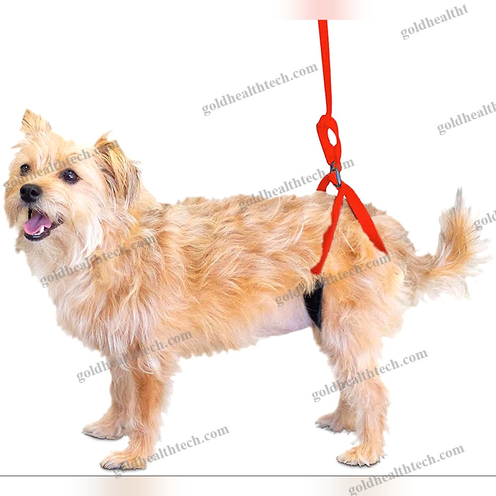 Walking Sling