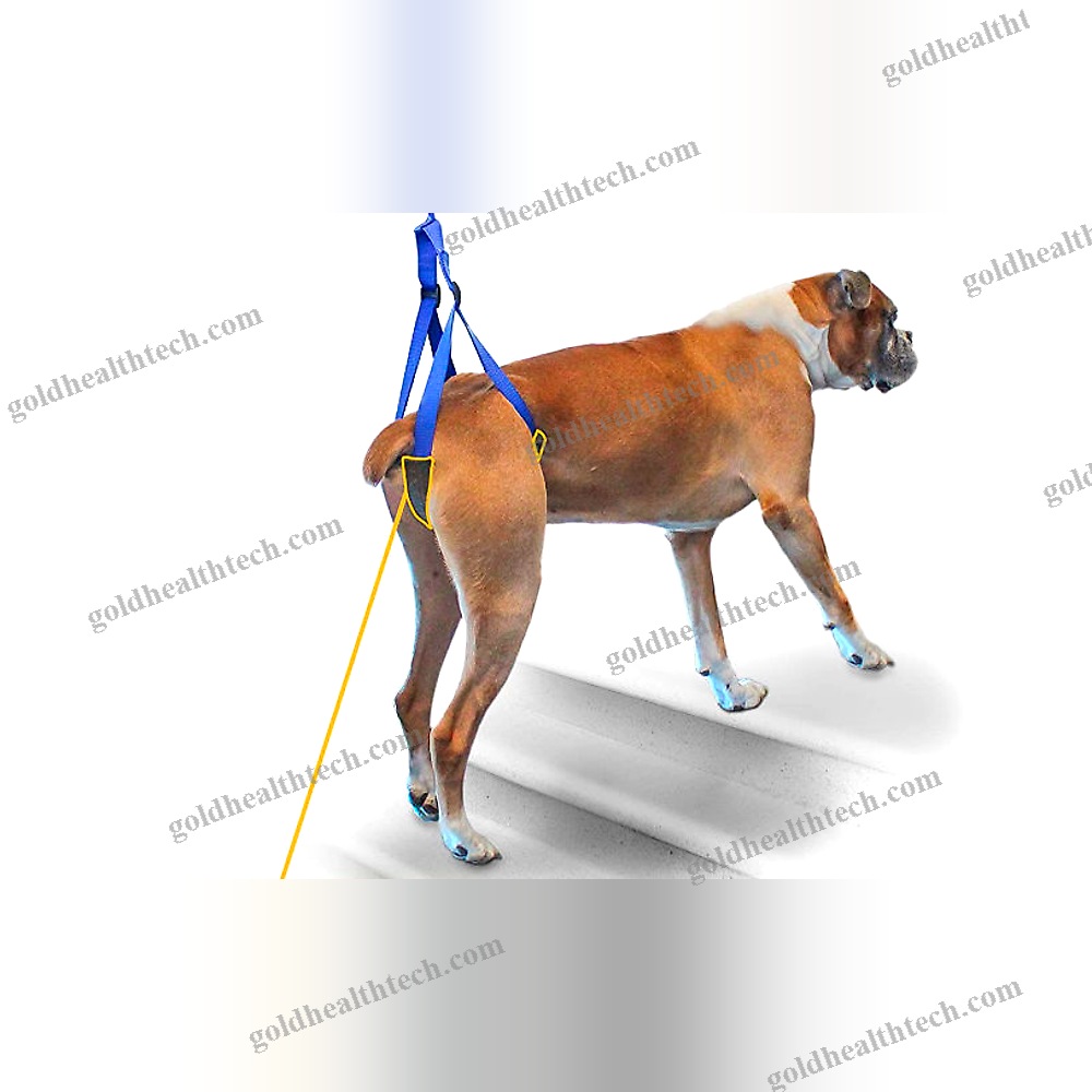 Walking Sling