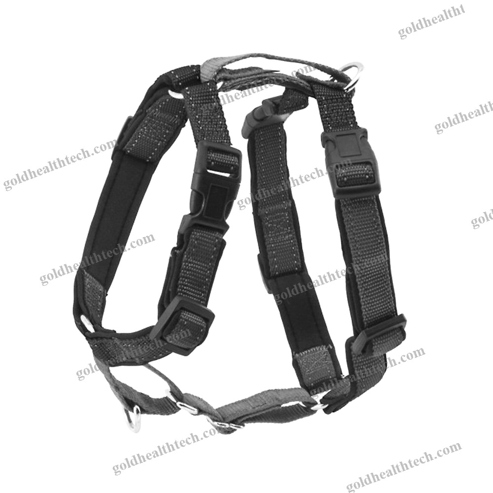 Walking Harness