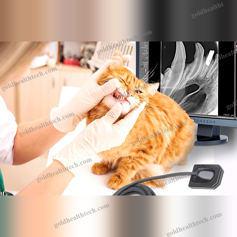 Veterinary Intra-Oral Detector