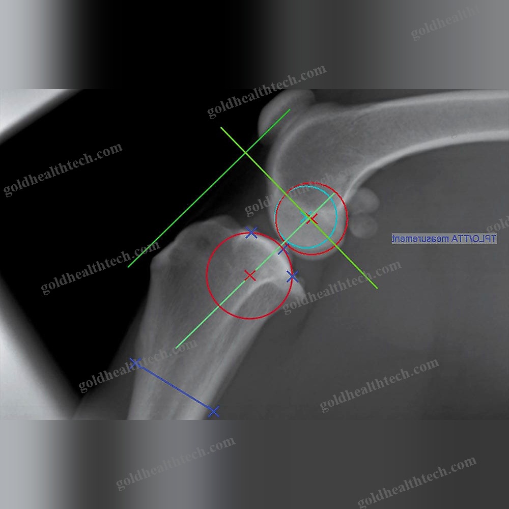 Veterinary Cr Scanner