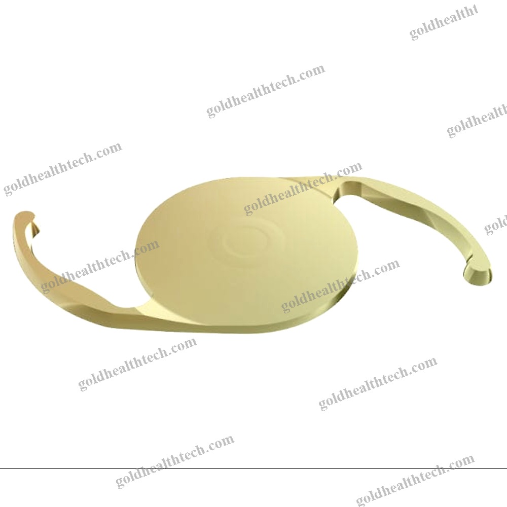 Monofocal Intraocular Lens