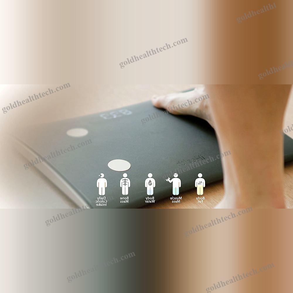 Bio-Impedancemetry Body Composition Analyzer
