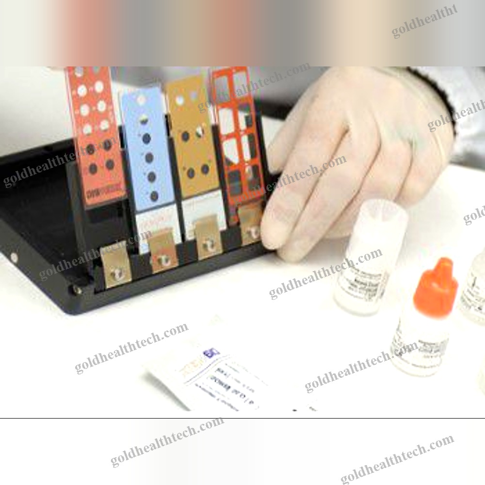 Automated Elisa Workstation