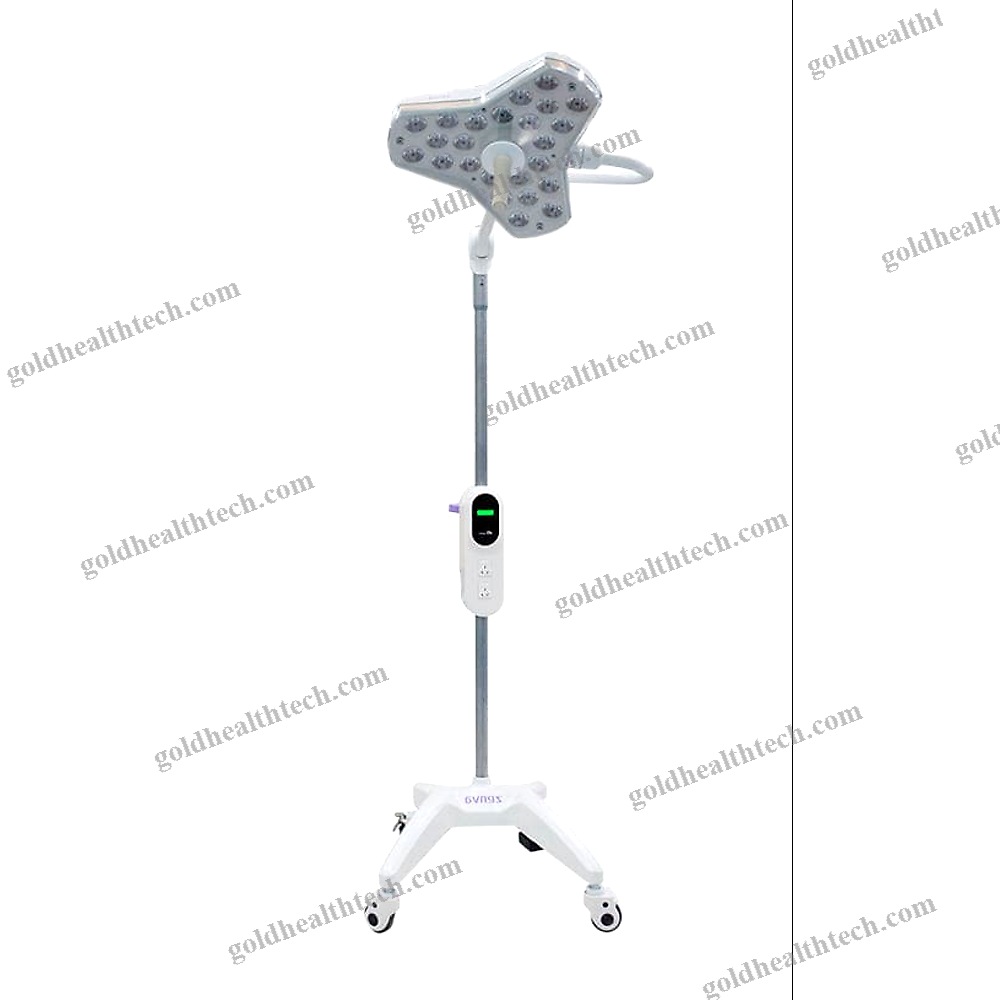 Veterinary Examination Lamp
