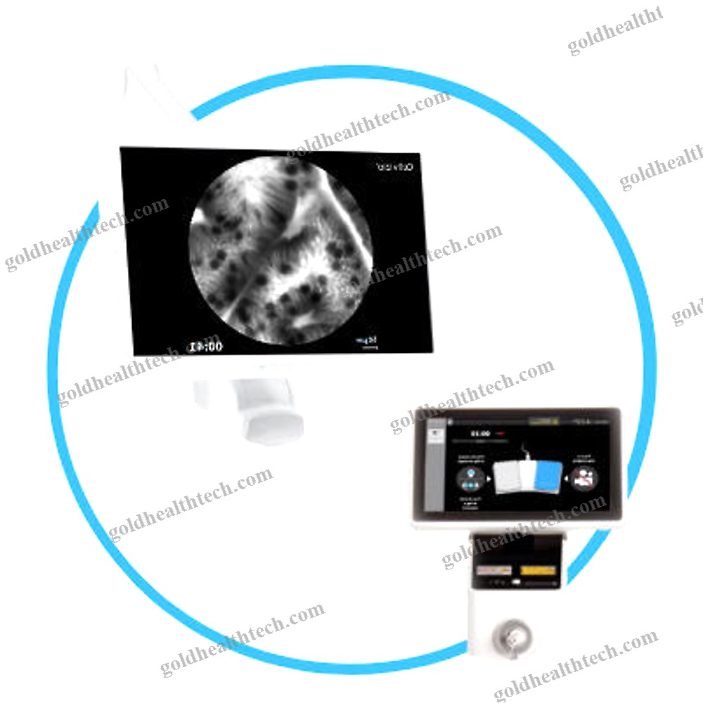 Cle Endoscopic Imaging System