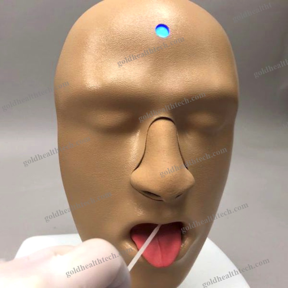 Ent Care Training Manikin