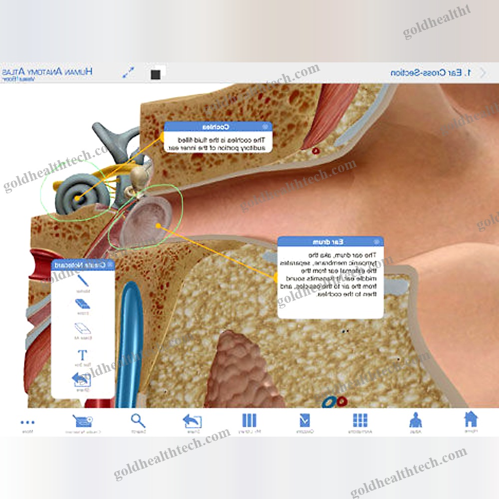 Anatomy Ios Application