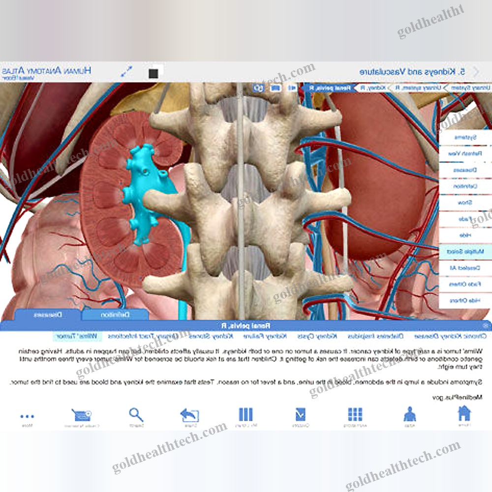 Anatomy Ios Application