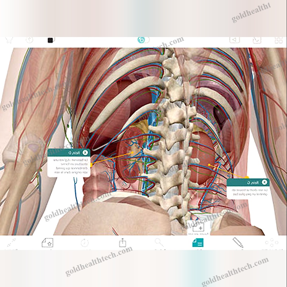 Anatomy Ios Application