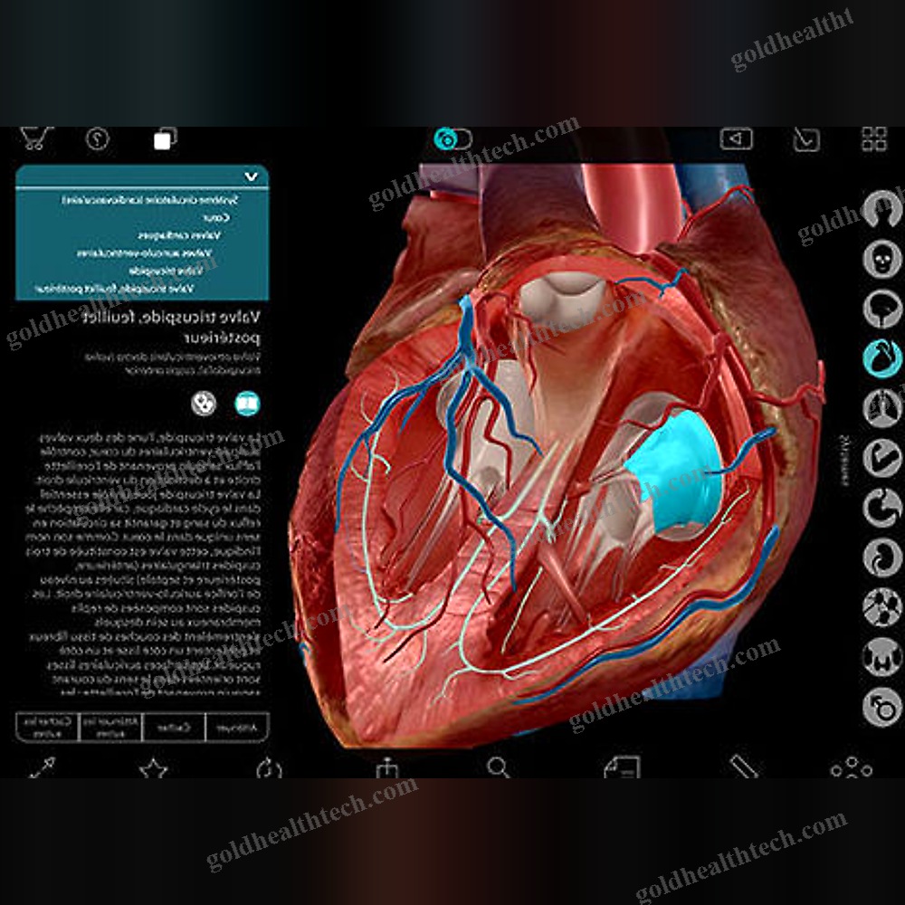 Anatomy Ios Application