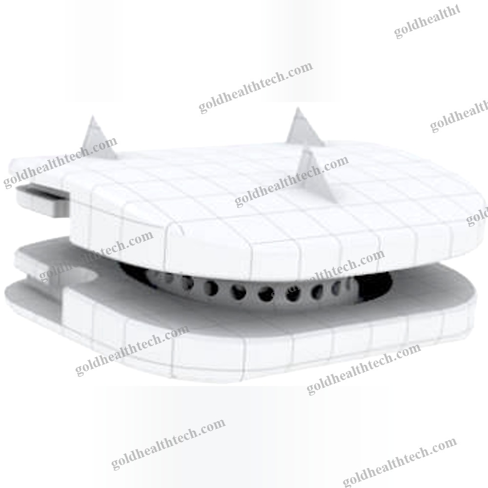 Cervical Disc Prosthesis