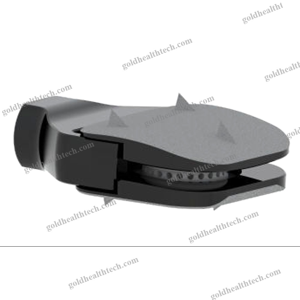 Cervical Disc Prosthesis