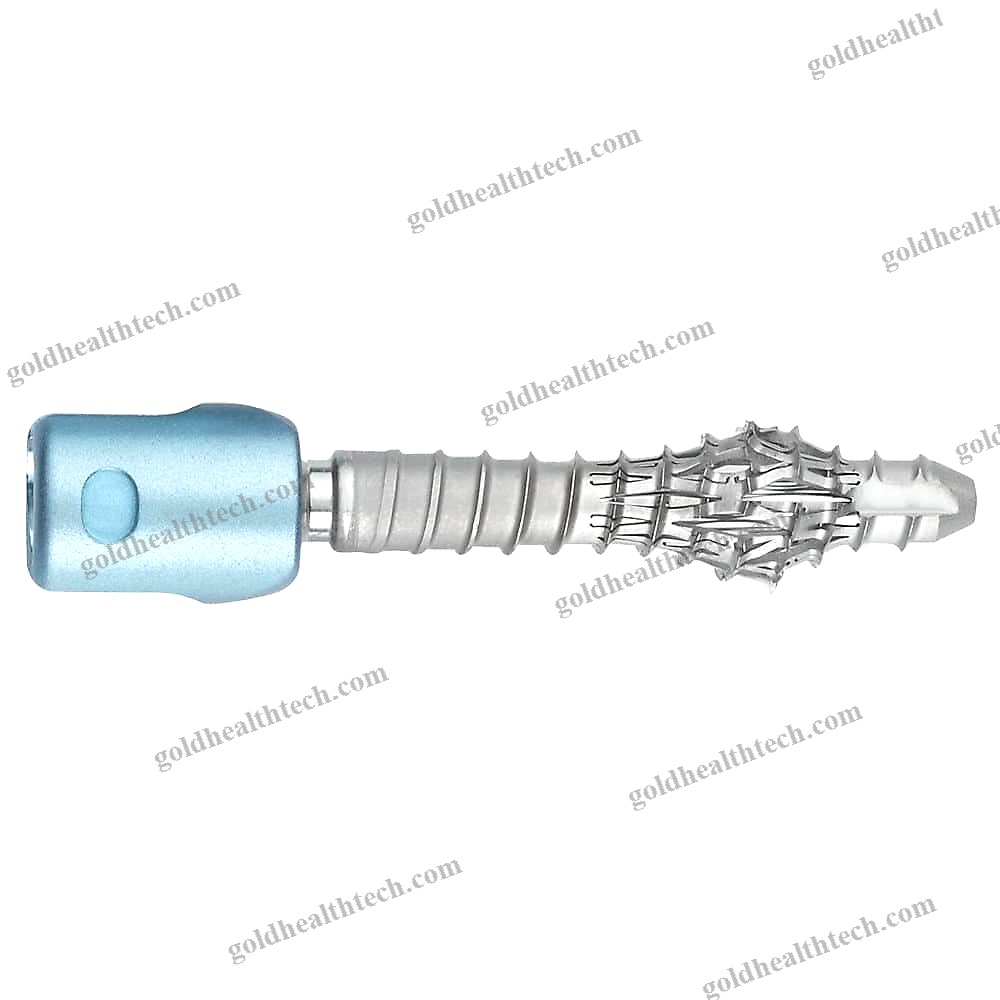 Thoracic-Lumbar Vertebra Pedicle Screw