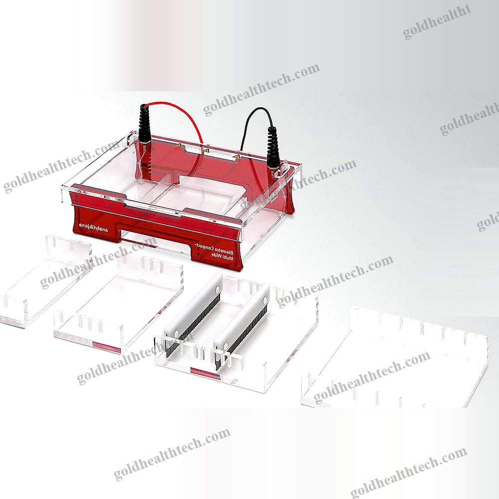 Agarose Gel Electrophoresis System