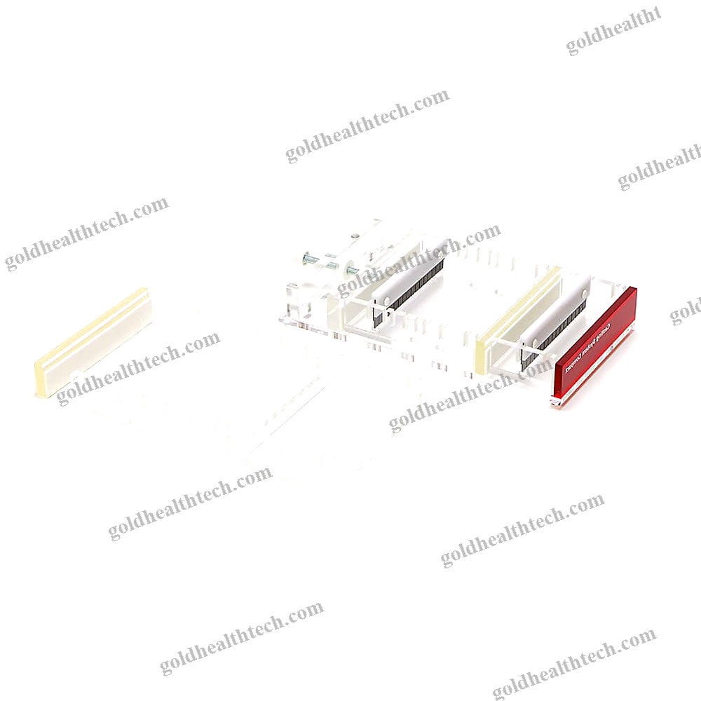 Agarose Gel Electrophoresis System