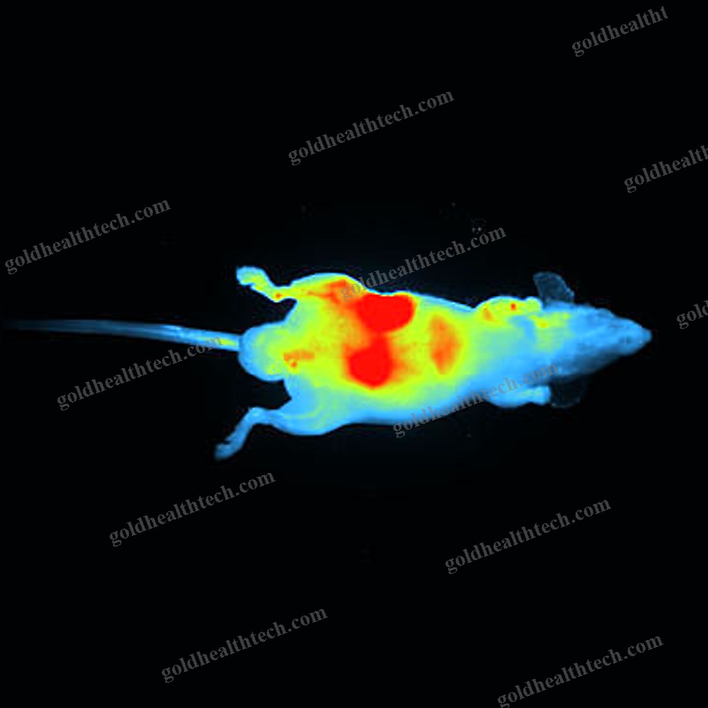 Automatic Molecular Imaging System