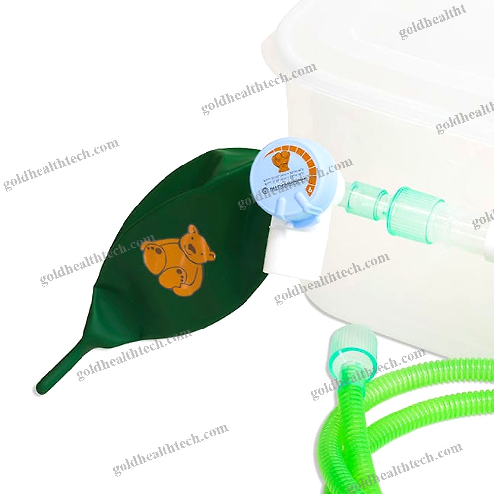Veterinary Anesthesia Induction Chamber