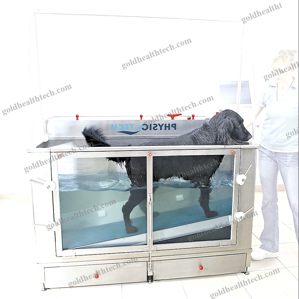 Underwater Veterinary Treadmill