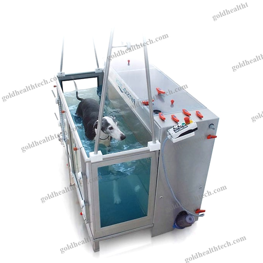 Underwater Veterinary Treadmill