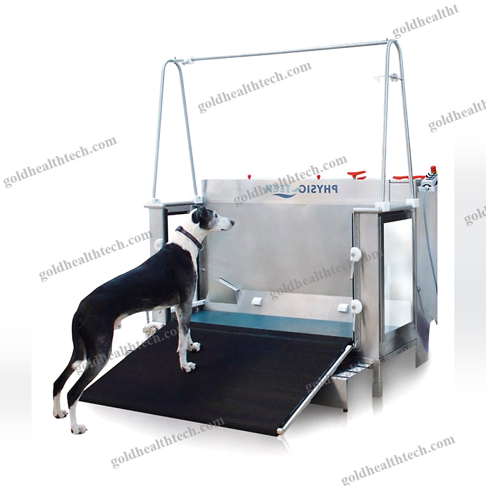 Underwater Veterinary Treadmill