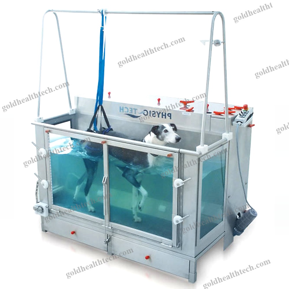 Underwater Veterinary Treadmill