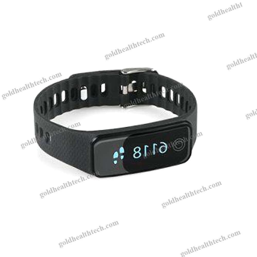 Physical Activity Wrist Monitor