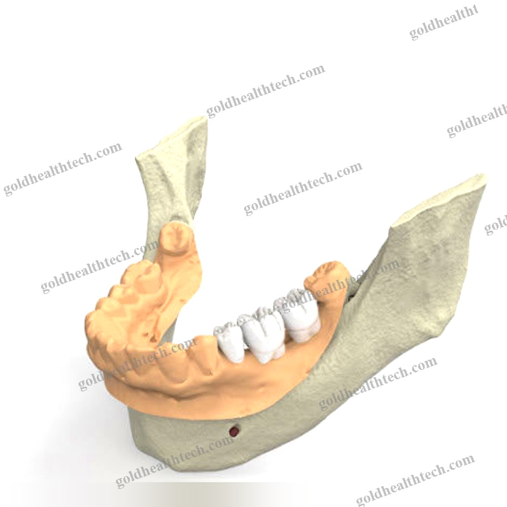 Dental Software