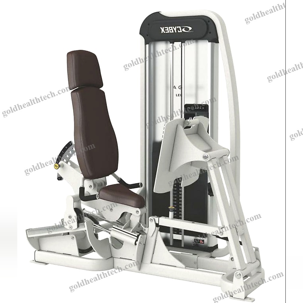 Leg Press Gym Station