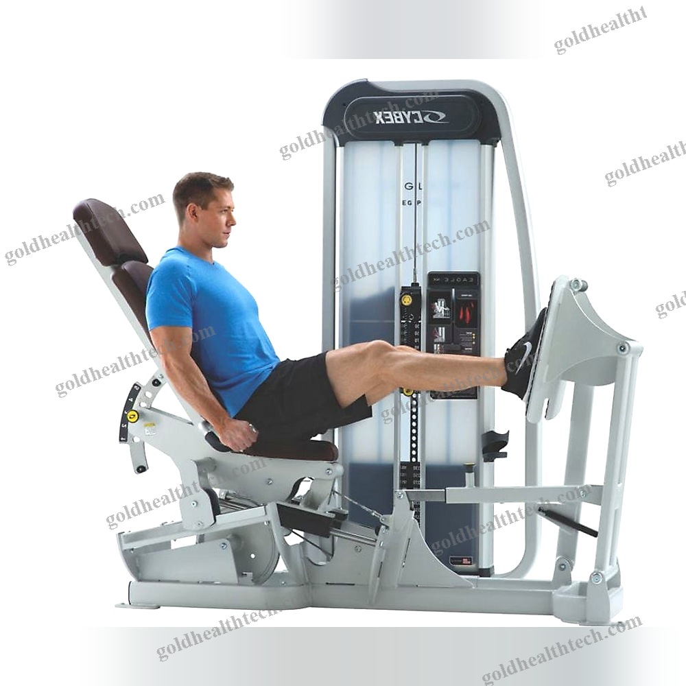 Leg Press Gym Station