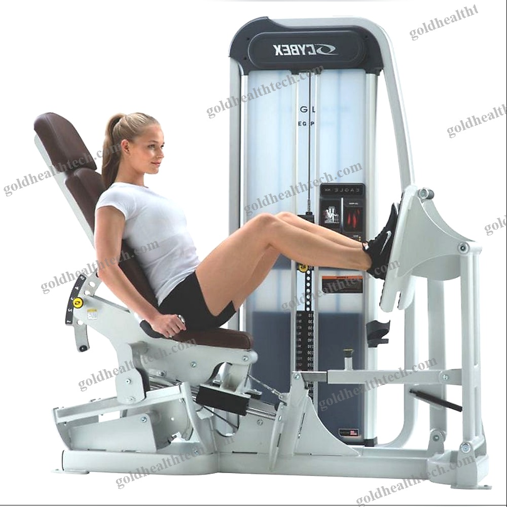 Leg Press Gym Station