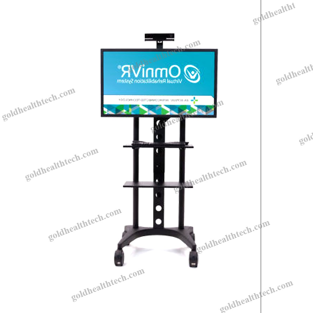 Balance Rehabilitation System